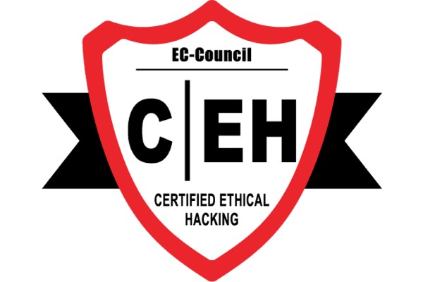 Ethical Hacking